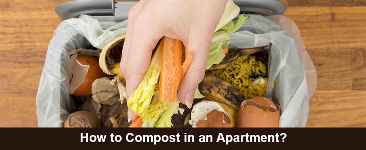 How to Compost in an Apartment