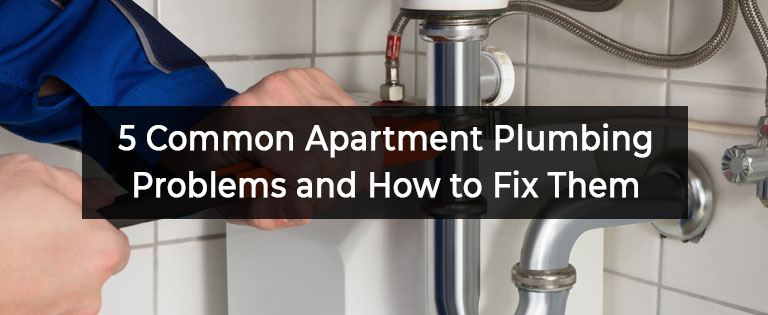 5 Common Apartment Plumbing Problems and How to Fix Them