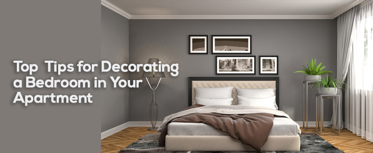 Tips for Decorating Your Apartment