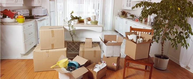 Things You Needed For a New House: A Complete Guide