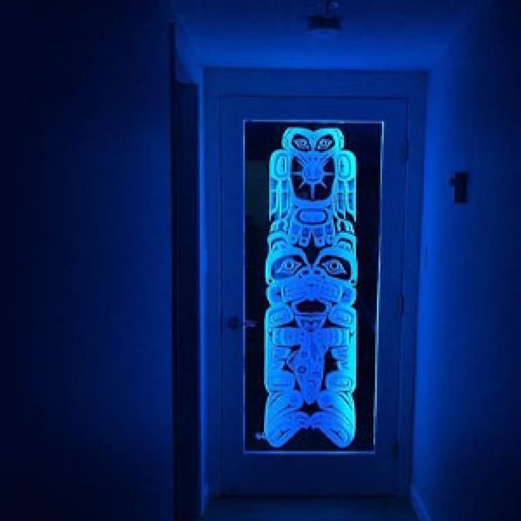 Etched glass door with LED lights