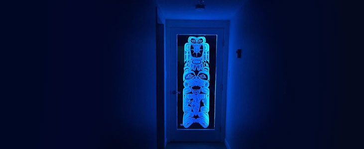 Etched glass door with LED lights