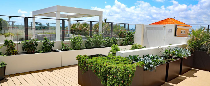 Apartment Terrace Garden