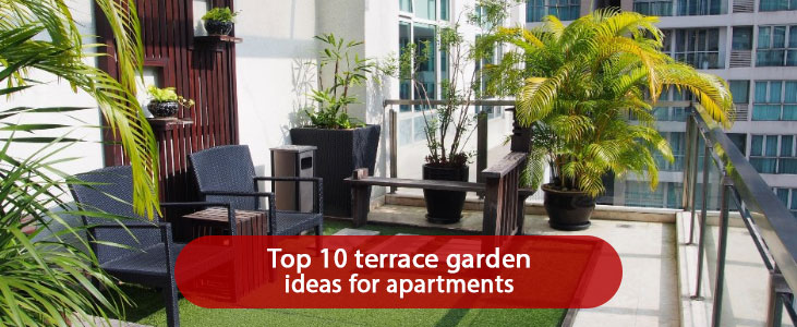 Top 10 Terrace Garden Ideas for Apartments