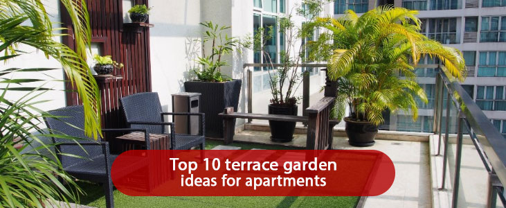 What to Consider When Designing and Building Your Own Rooftop or Balcony  Garden - Projex