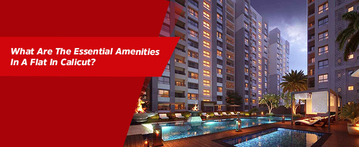 What Are the Essential Amenities in a Flat in Calicut?