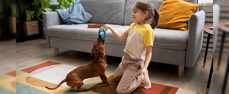 Tips for Pet Owners