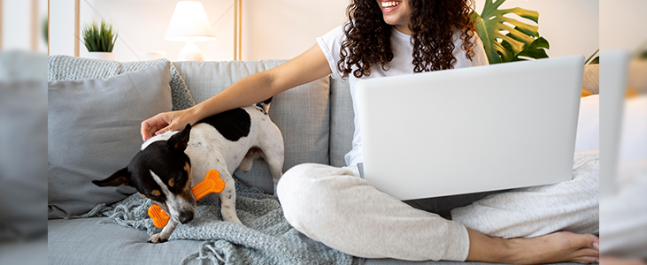 Tips for Pet Owners