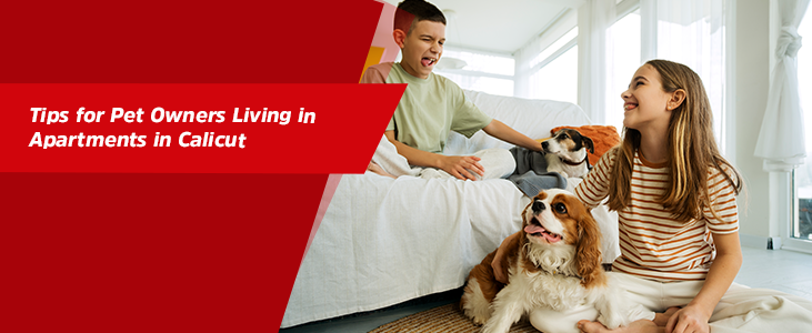 Tips for Pet Owners