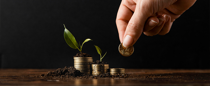 ideal for young professionals