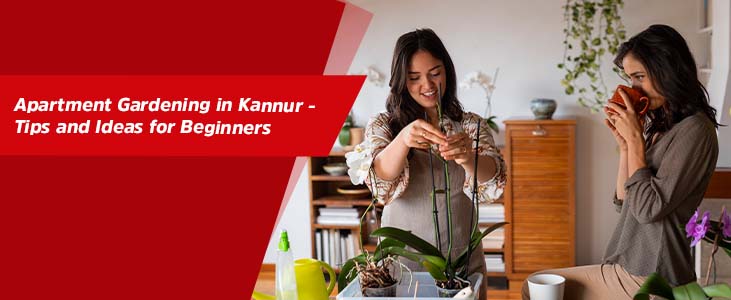 Apartment Gardening in Kannur - Tips and Ideas for Beginners