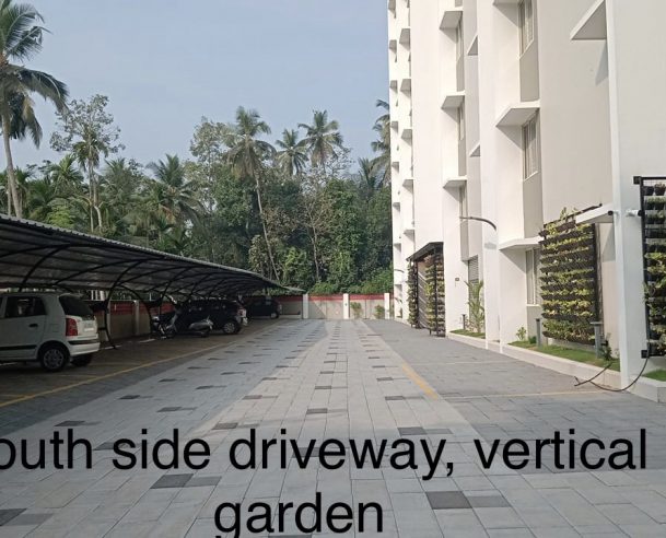 SOUTH SIDE DRIVEWAY, VERTICAL GARDEN : 28-02-2021