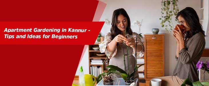 Apartment Gardening in Kannur – Tips and Ideas for Beginners