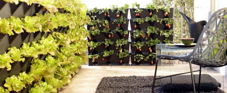 Vertical Gardening -A Brief Guide To Growing More In Less Space