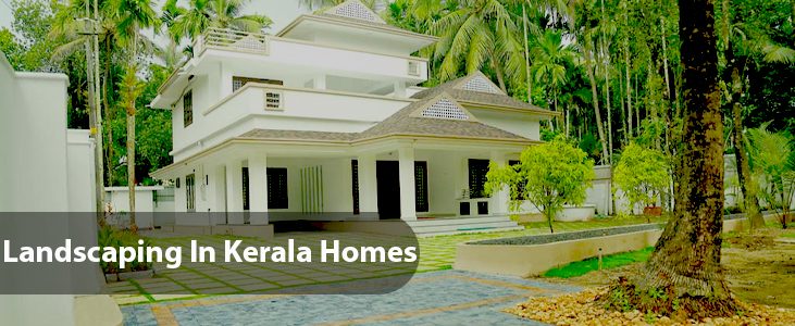 Landscaping In Kerala Homes: What You Need To Know